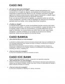 CASO ING. CASO BANKIA