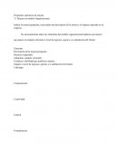 Propuestas operativas de mejora