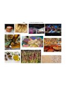 LA FERIA DEL AMARANTO Y EL OLIVO