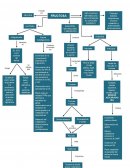 FRUCTOSA: CONSUMO E IMPLICANCIAS METABÓLICAS