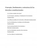 Concepto, naturaleza y fundamento de los derechos fundamentales