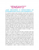 ¿Qué emociones o sensaciones he experimentado en el confinamiento?