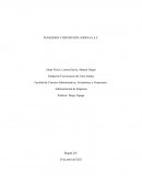 PANADERÍA Y REPOSTERÍA ANDINA S.A.S