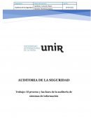 AUDITORIA DE LA SEGURIDAD empresa Distribuciones Mariano