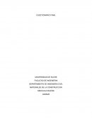 ¿Por qué la resistencia es la propiedad más valorada en concreto por diseñadores e ingenieros de control de calidad?