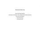 Teoria de Carl Gustav Jung