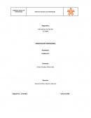 PRESENTACIÓN EMPRESARIAL NMTC Ltda