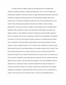 Resumen de el orden colonial, sus instituciones y la crisis