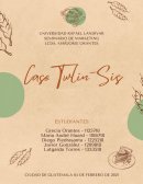 MARKETING. CASO TWLIN-SIS