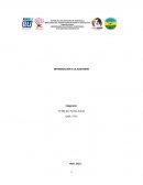 Definición de Términos Básicos de Introducción a la Auditoria