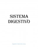 Sistema Digestivo . Digestión, Absorción y boca