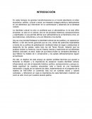 ENSAYO DE IDENTIDAD CULTURAL