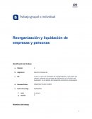 Ley de reorganización de deuda