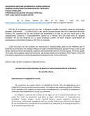 IMPORTANCIA DEL SECTOR TERCIARIO O SERVICIO