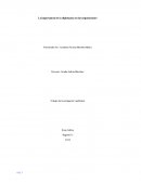 La importancia de Diplomacia y Negociación