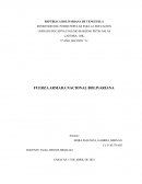 FUERZA ARMADA NACIONAL BOLIVARIANA