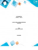ECONOMETRÍA Unidad 2 - Tarea 3