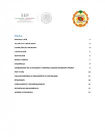 ADMINISTRACION DE PROYECTOS. Free light: luz libre. Página 1
