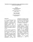 Remediación de suelo contaminado con aguas contaminadas por medio de la técnica de encapsulamiento