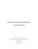 Tarea 2 Determinar la estructura organizacional de prevención de riesgos