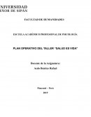 PLAN OPERATIVO DEL TALLER “SALUD ES VIDA”