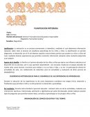 PLANIFICACION INTEGRADA