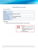 Formato Efectos de la economía