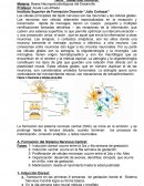 Tema: “Desarrollo Cerebral”