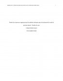Diseño de un proceso organizacional de auditoría tributaria para la declaración de renta de persona natural