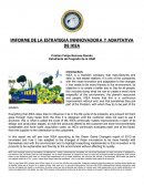 IMFORME DE LA ESTRATEGIA INNNOVADORA Y ADAPTATIVA DE IKEA