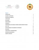 Administracion de proyectos. Free light: luz libre