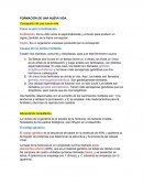 FORMACIÓN DE UNA NUEVA VIDA