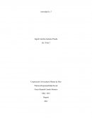 Práctica Responsabilidad Social