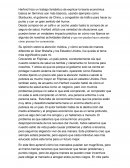 El economista camuflado