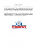 SINTESIS DEL PROCESO PRODUCTIVO BIMBO