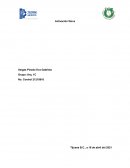 Actividad física y su impacto en la salud