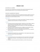 IDEA CENTRAL DE LA CAMPAÑA