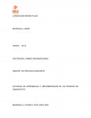 Actividad de aprendizaje Implementacion de un proceso de diagnostico