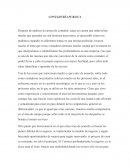 CONTADURÍA PÚBLICA