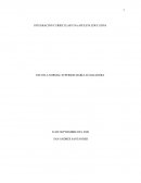 EL JUEGO TANGRAM COMO ESTRATEGIA INTEGRADORA DE CONOCIMIENTOS