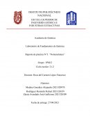 Laboratorio de Fundamentos de Química Reporte de práctica N°3: “Nomenclatura”