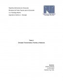 Drenajes Transversales, Puentes y Viaductos