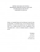 CONCEPTUALIZACIÓN DEL PISE