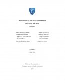 PROYECTO GRUPAL ORGANIZACIÓN Y METODOS INGENIERIA INDUSRIAL