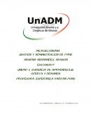 MICROECONOMIA. GESTION Y ADMINISTRACION DE PYME