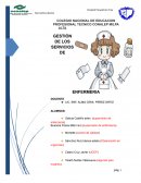 GESTIÓN DE LOS SERVICIOS DE ENFERMERIA