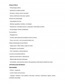 Margaret Mead · Antropologia pública