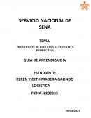 PROYECCIÓN DE ELECCIÓN ALTERNATIVA PRODUCTIVA