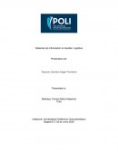 Sistemas de Información en Gestión Logística