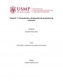 FORMULACION Y EVALUACION DE PROYECCION DE INVERSIONES